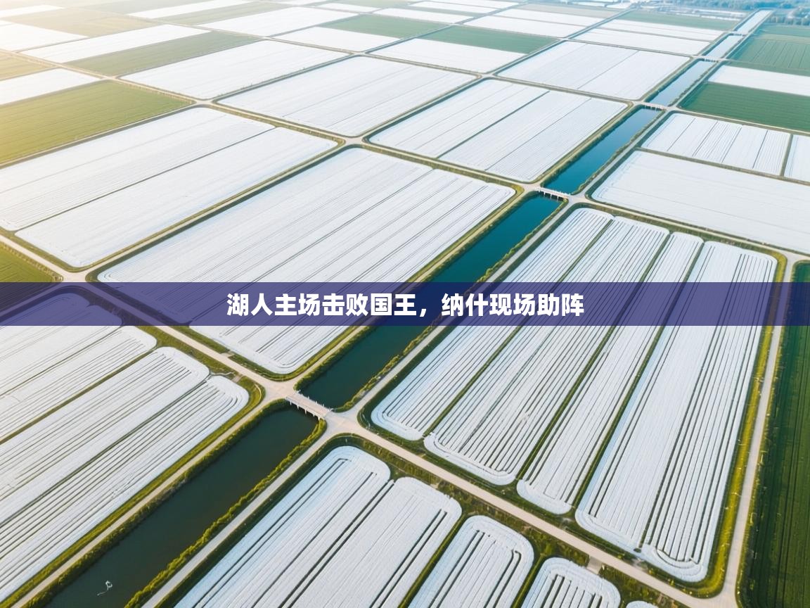 湖人主场击败国王，纳什现场助阵