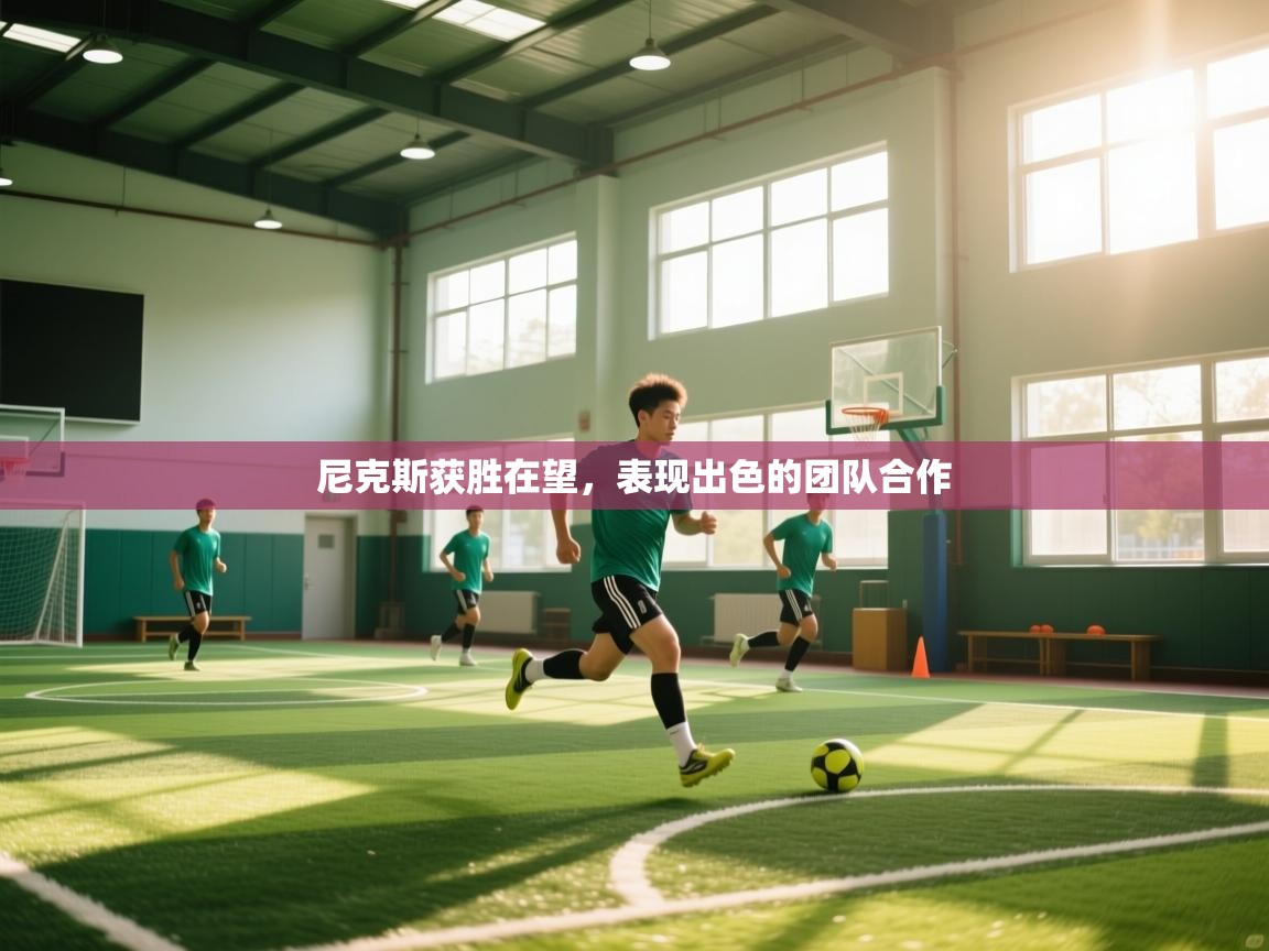 尼克斯获胜在望,表现出色的团队合作 第1张